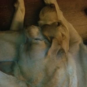 Meet your Posher, Ericka